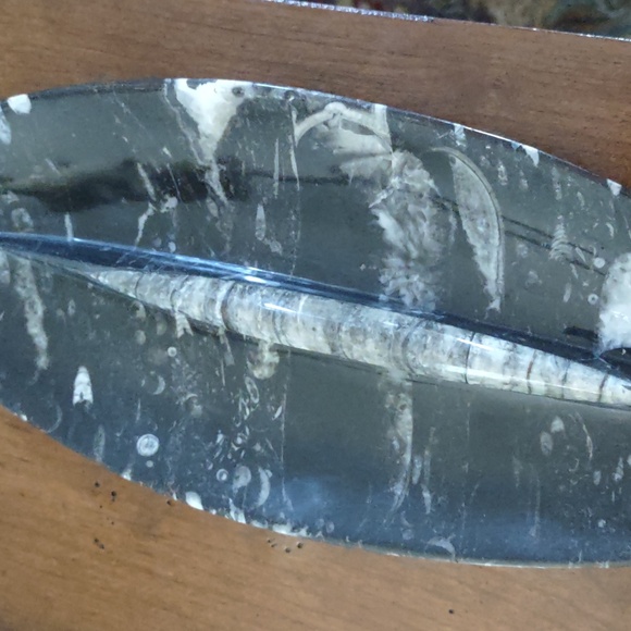 Fossil - Picture 2 of 5